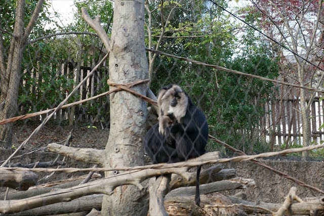 ときわ動物園