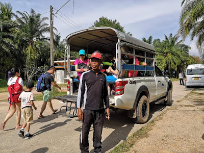 Get picked up by songthaew (local truck)