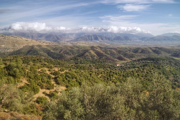 Olive groves and mountains nivice bubar saranda albania