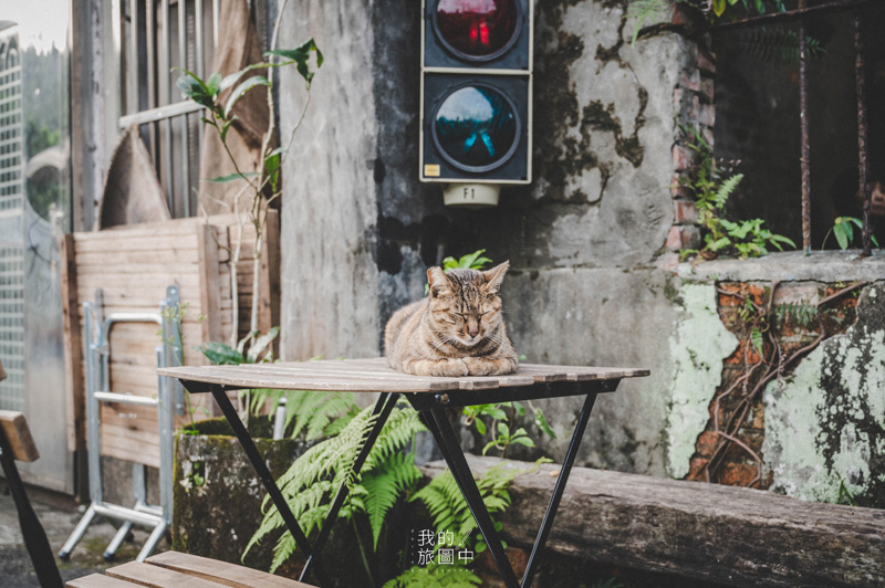 《新北瑞芳》Cafe Hytte 存在於遺世獨立小站裡的廢墟秘境咖啡廳 @我的旅圖中 during my journey