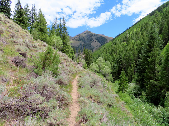 Approaching the bottom of the canyon