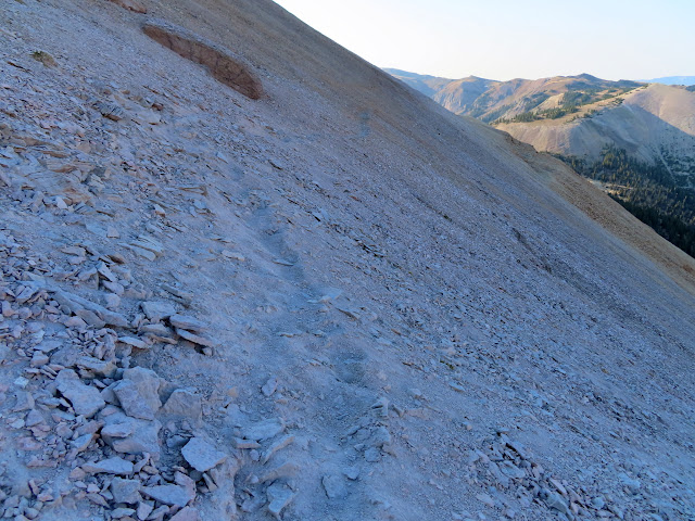 Tough section of trail