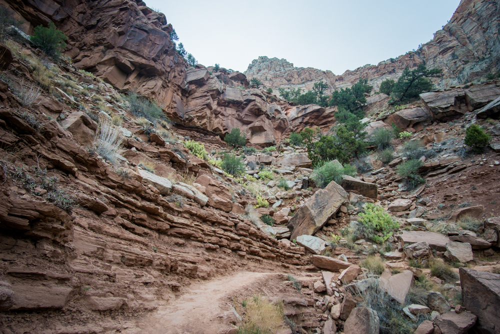 Zion National Park Watchman Trail