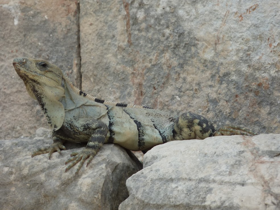 uxmal