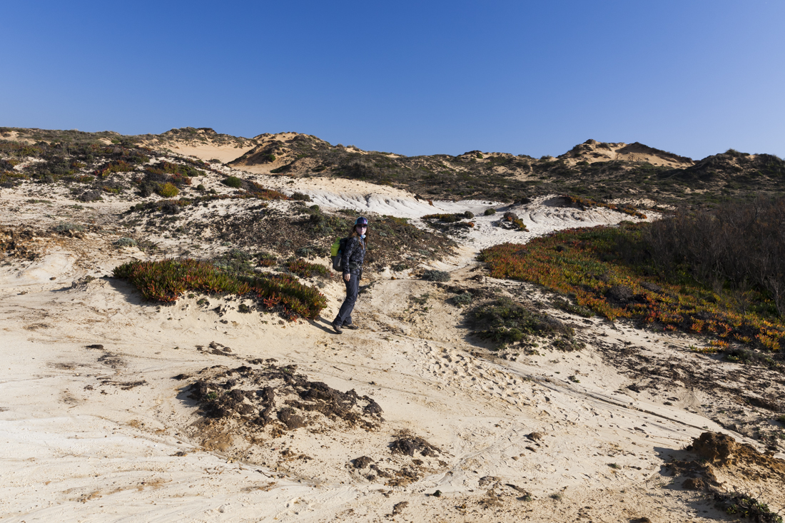 Треккинг на юге Португалии в январе: Rota Vicentina и Fishermen's trail (много фото)