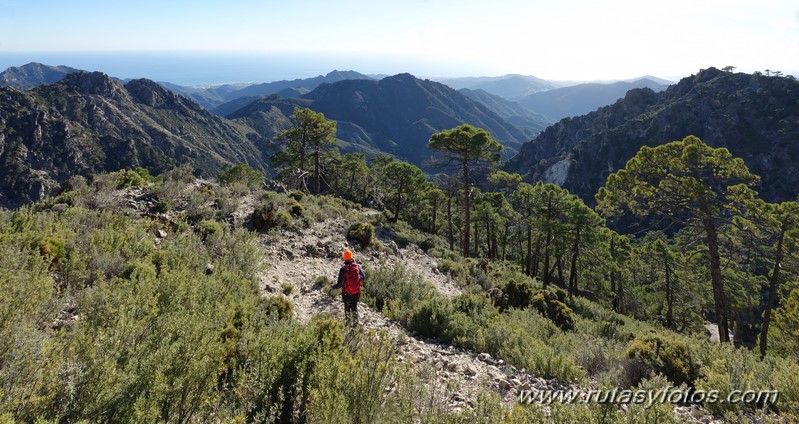 Pico Lucero o Raspón de los Moriscos