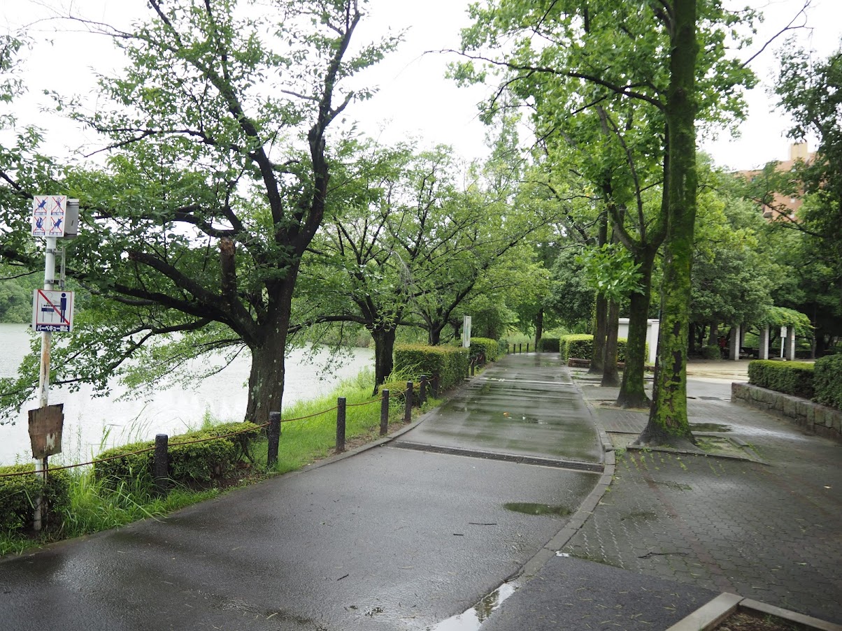 向かいの杁ヶ池公園