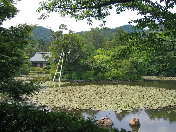 龍安寺 鏡容池