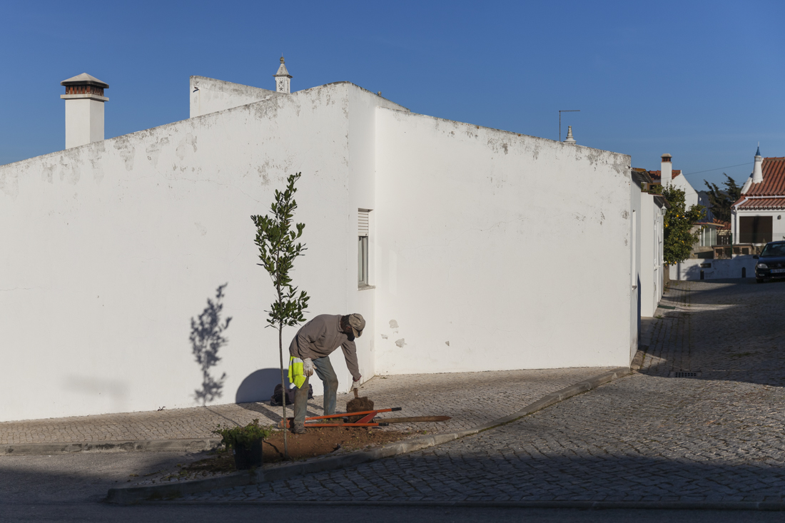 Треккинг на юге Португалии в январе: Rota Vicentina и Fishermen's trail (много фото)