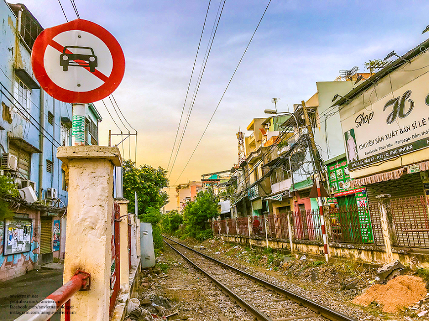 Dọc đường tàu Sài Gòn: lãng đãng sắc vàng hoa huỳnh liên buổi sớm mai