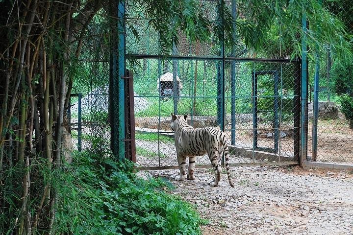 tourist spot bangalore