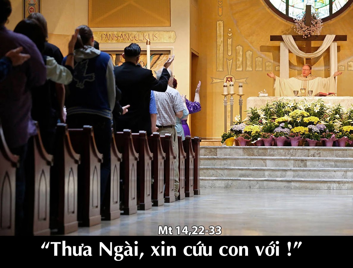 Thánh lễ Chúa Nhật Tuần XIX TNA (09.08.2020)