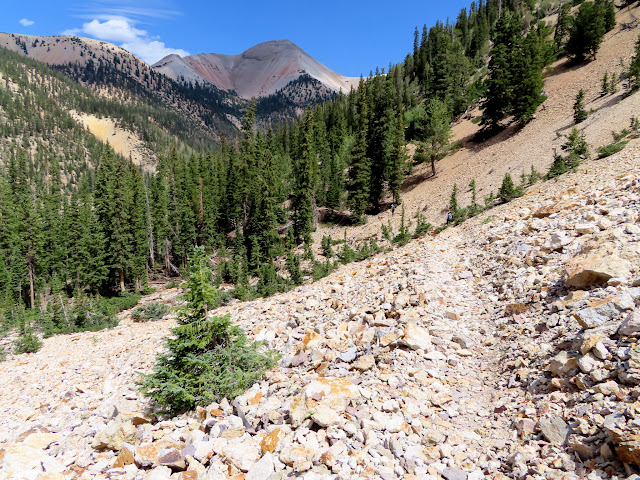 Lower portion of the trail