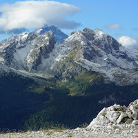 Cortina