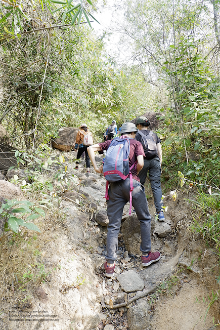 Đi tour trekking núi Dinh và ghé thăm Thiền Tôn Phật Quang (chùa Phật Quang) ở Bà Rịa – Vũng Tàu