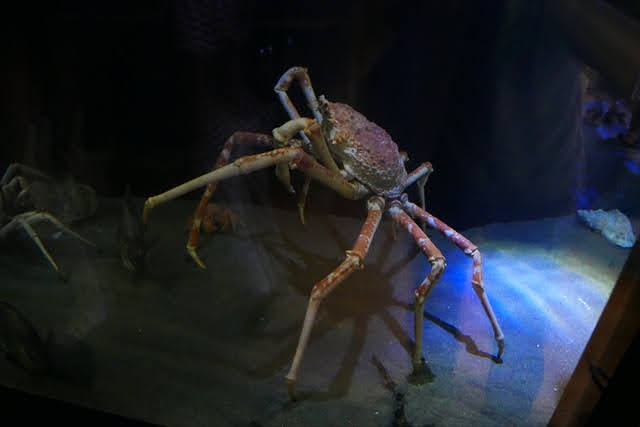 竹島水族館