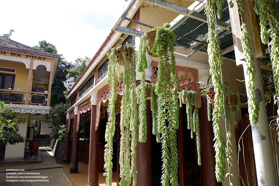 Về đây tự viện Vĩnh Minh trong làng chùa Đức Trọng, Lâm Đồng