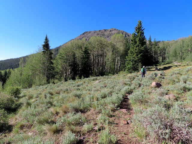 First view of Hilgard Mountain