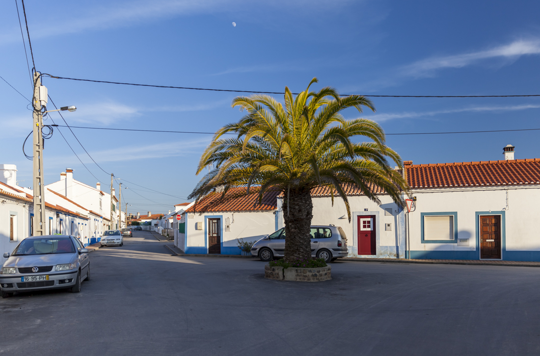 Треккинг на юге Португалии в январе: Rota Vicentina и Fishermen's trail (много фото)