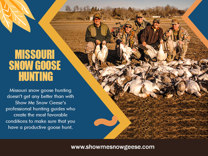 Missouri Snow Goose Hunting