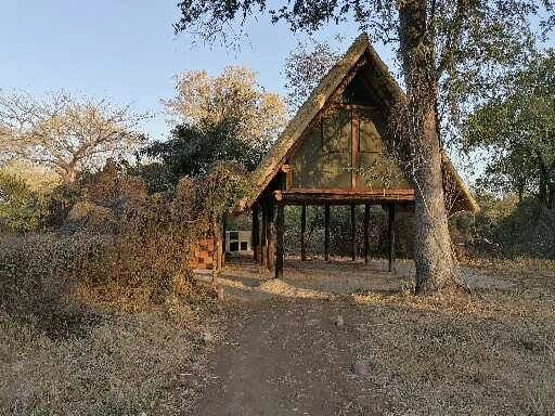 Treetop cabin at Majete Wildlife Park in Malawi, Africa