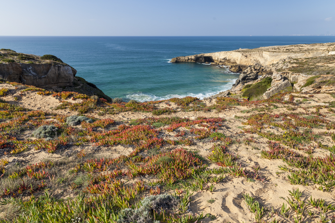 Треккинг на юге Португалии в январе: Rota Vicentina и Fishermen's trail (много фото)