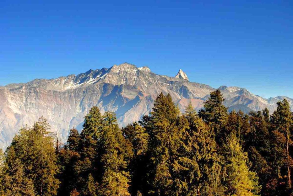 shimla near tourist destination