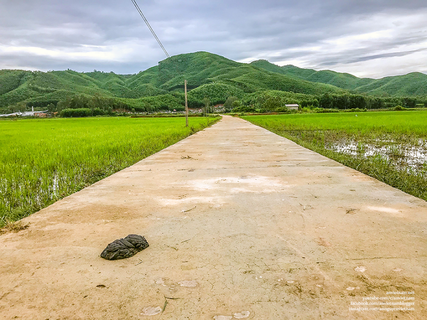 Thanh bình và ấn tượng phong cảnh quê hương Bình Định