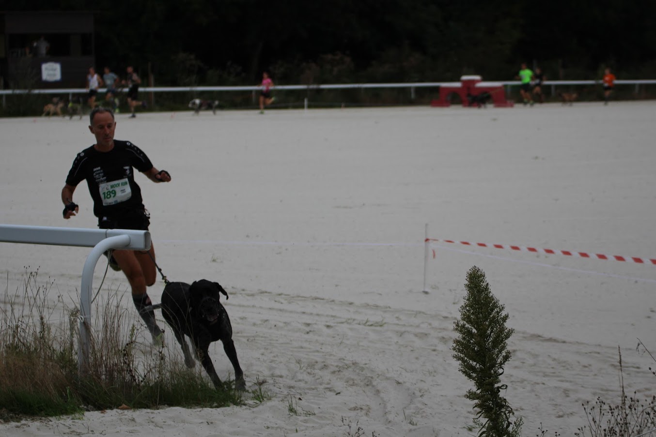 Chien d'or 2020