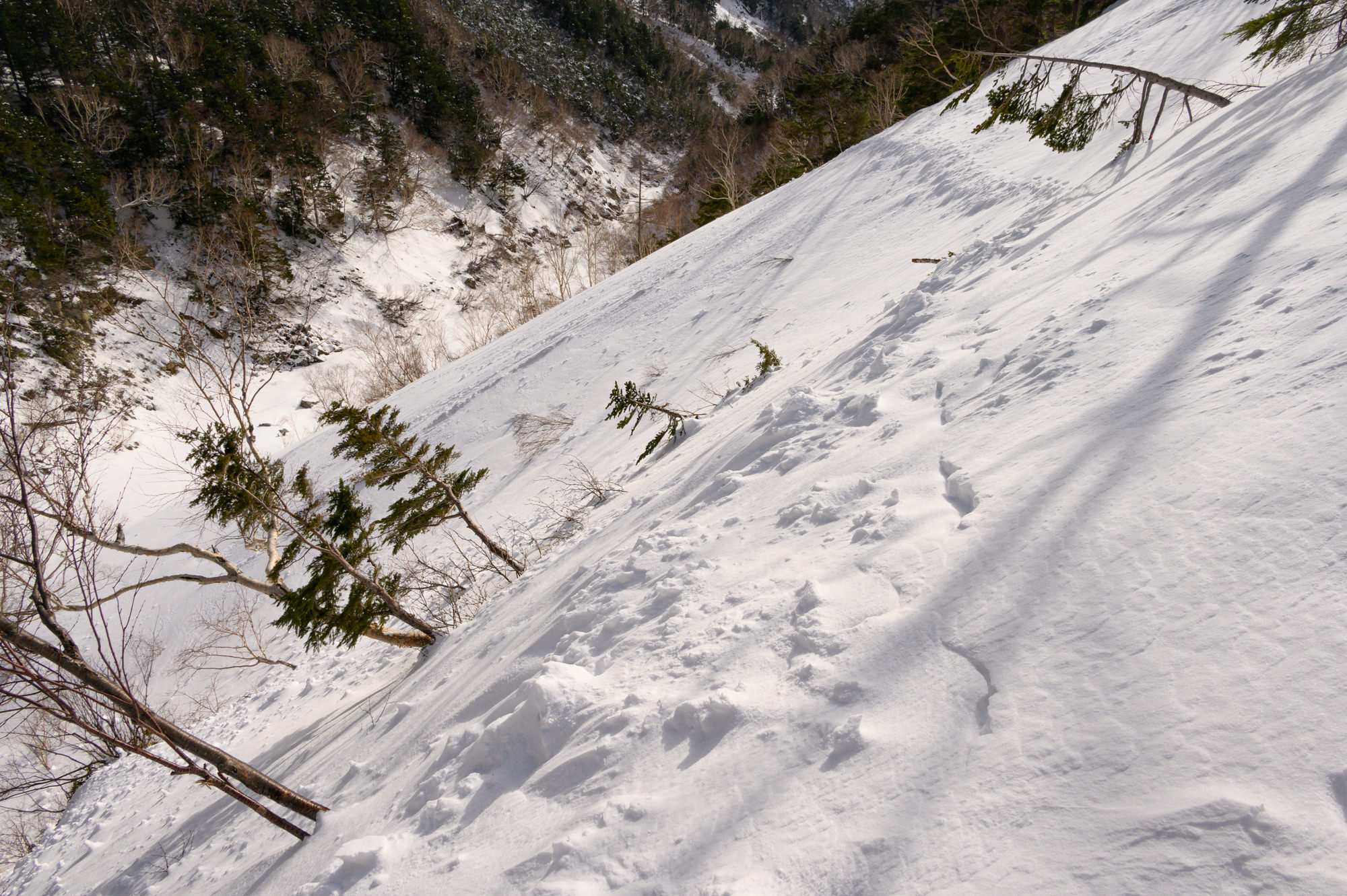 北アルプス ゴールデンウィーク 涸沢雪山テント泊 大量降雪のため奥穂高岳 涸沢岳 敗退 Japan Nomad 旅と山と写真のブログ