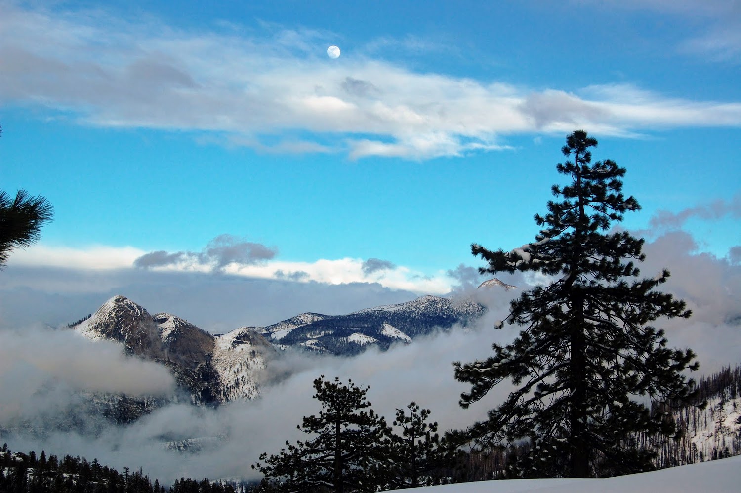 Glacier Point Road