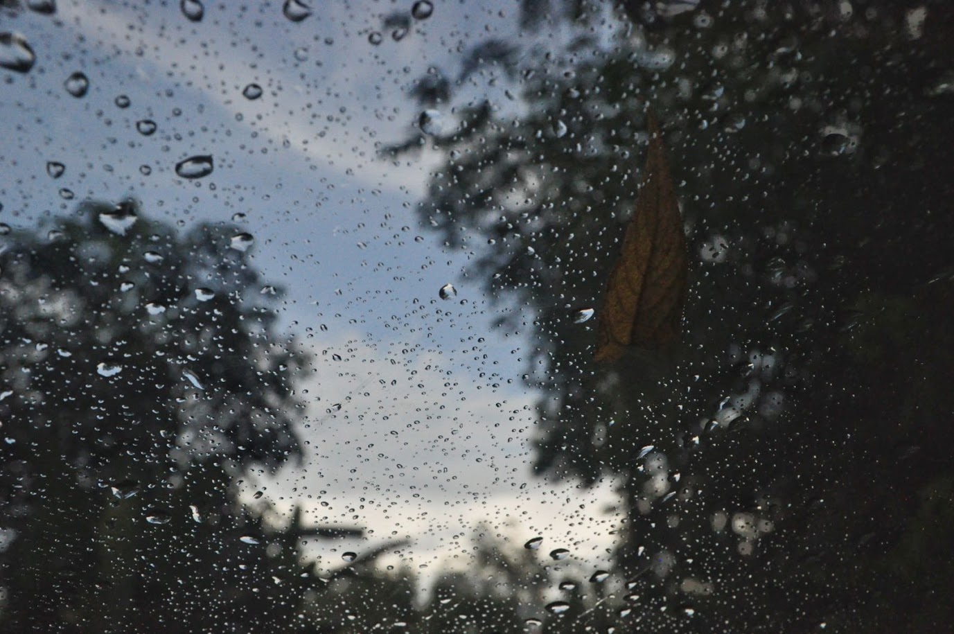 Mu Ko Ra - Ko Phra Thong National Park
Thailand
Rain