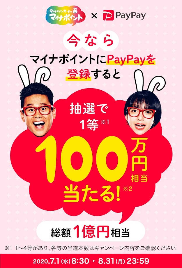 マイナポイントPayPayキャンペーン