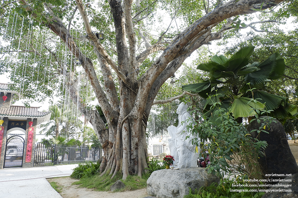 Du lịch tâm linh Sài Gòn: thiền viện Chơn Đức ở Hóc Môn