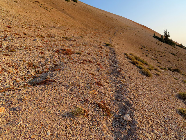 Hiking trail on the reclaimed road