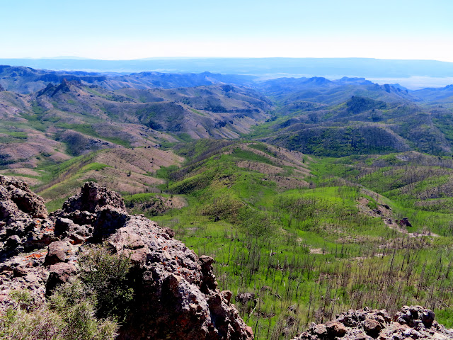 View into the South Fork of Cottonwood Creek