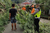 Polres Kotamobagu Sigap Bantu Tangani Pohon Tumbang di Kotobangon