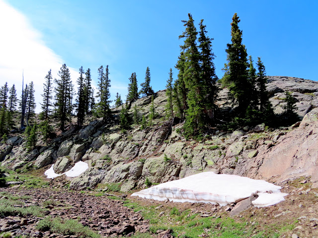 Snow drifts in upper Fish Creek