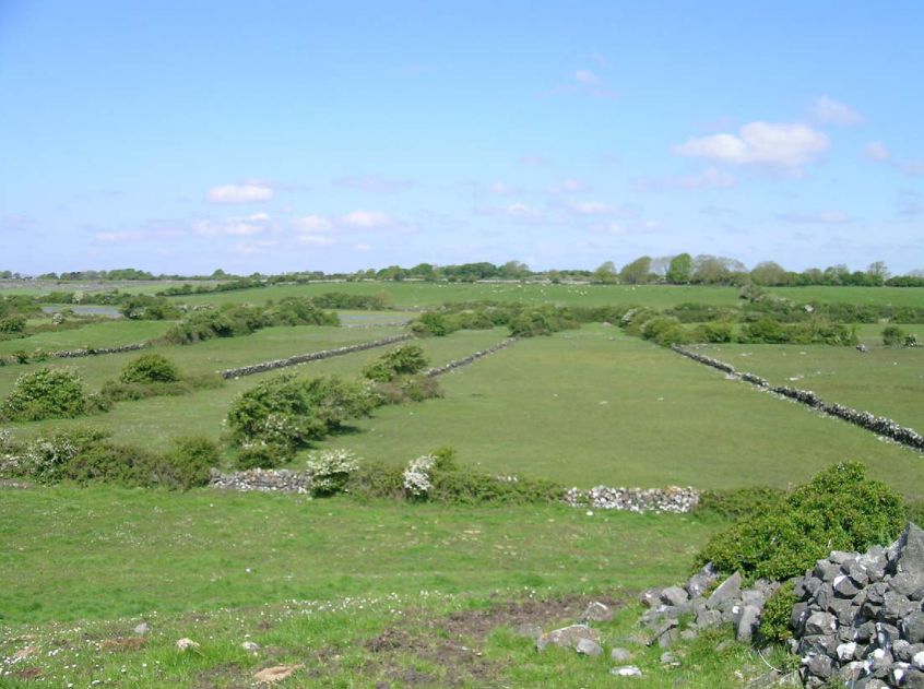 Turlough, os lagos que desaparecem da Irlanda