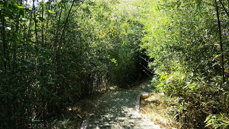 新竹步道 - 十二寮山登山步道