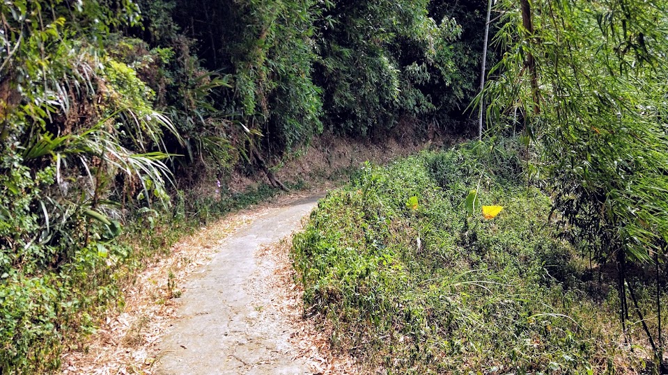 新竹步道 - 寶山水庫環湖步道