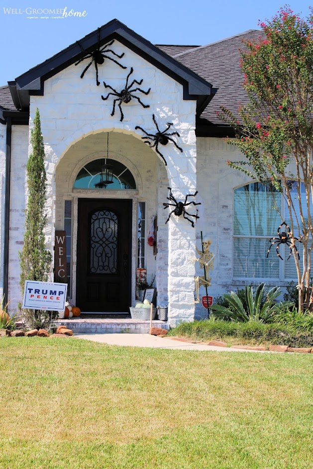 halloween spiders