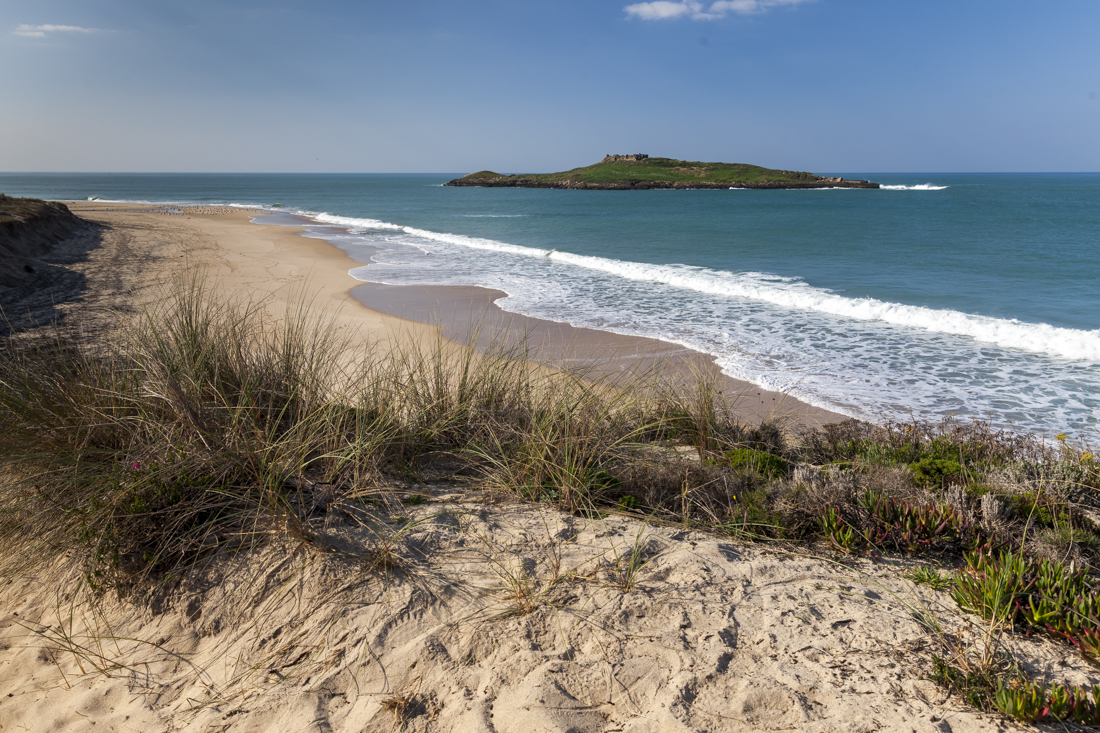 Треккинг на юге Португалии в январе: Rota Vicentina и Fishermen's trail (много фото)