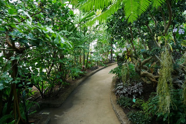 ときわミュージアム 世界を旅する植物園