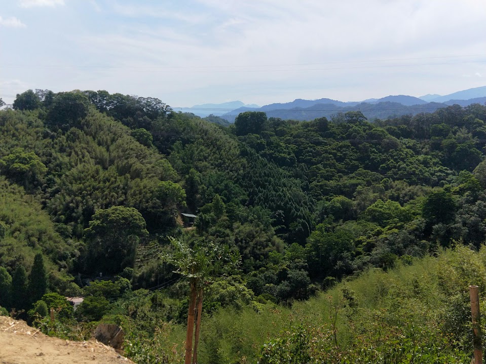 新竹步道 - 十二寮山登山步道