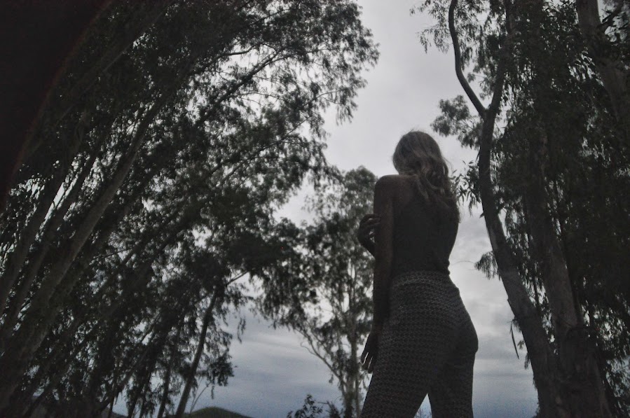 Dusk falling among the eucalyptus trees