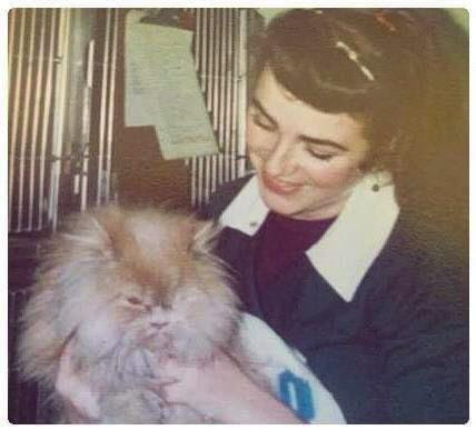 An old photograph of a veterinary nurse holding a fluffy cat