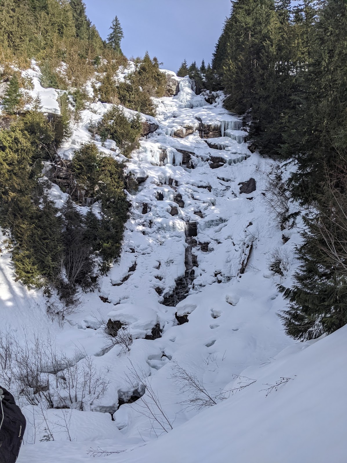 Looking up from the logging road at the waterfall we avoided