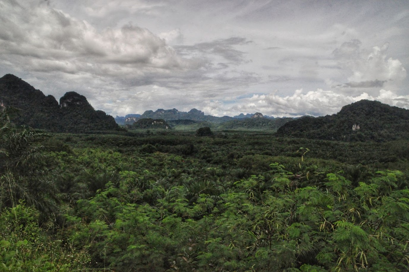 Khao Sok National Park
Thailand
View point
Green vegetation