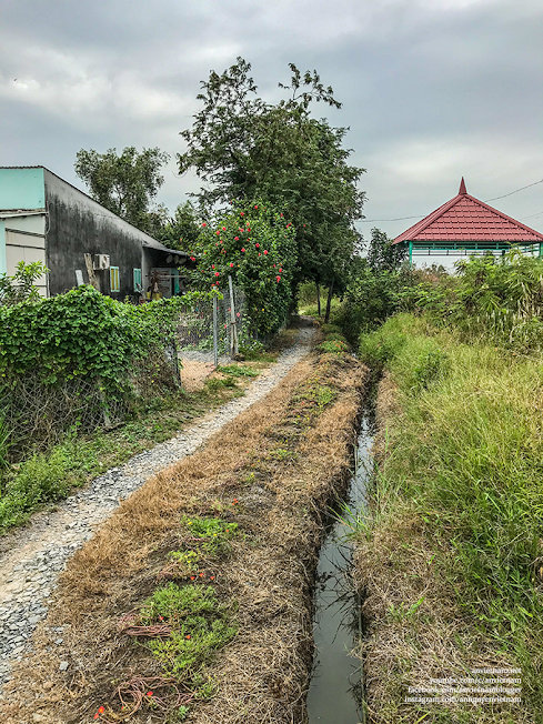 Tìm về vùng quê xã Quy Đức, huyện Bình Chánh